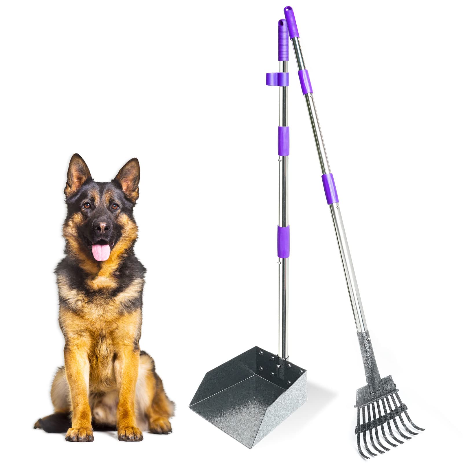 Pooper Scooper for Large & Small Dogs - Rust Proof Stainleass Metal Dog Pooper Scooper - Strong & Sturdy Rake & Scooper with 37.4" No Bending Long Handle Great for Yard or Outdoor (Medium, Purple)