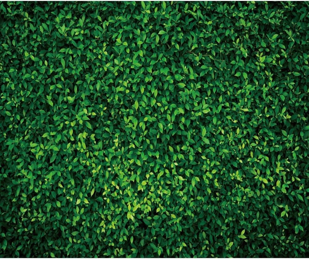 Greenery Backdrop Green Leaves Backdrop Wedding Birthday Baby Shower Bridal Shower Party Supplies Decorations Lawn Photography Background 10x8ft(