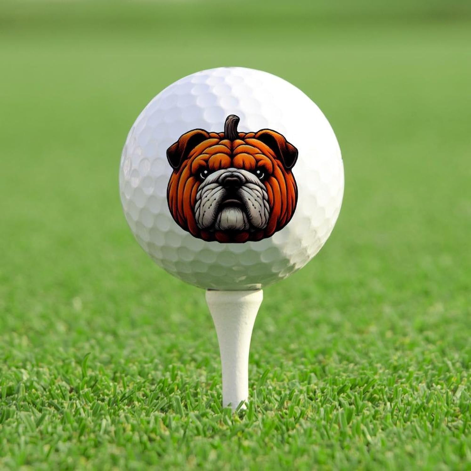 CafePress English Bulldog Pumpkin Halloween Dog Novelty Golf Balls (Pk of 12)