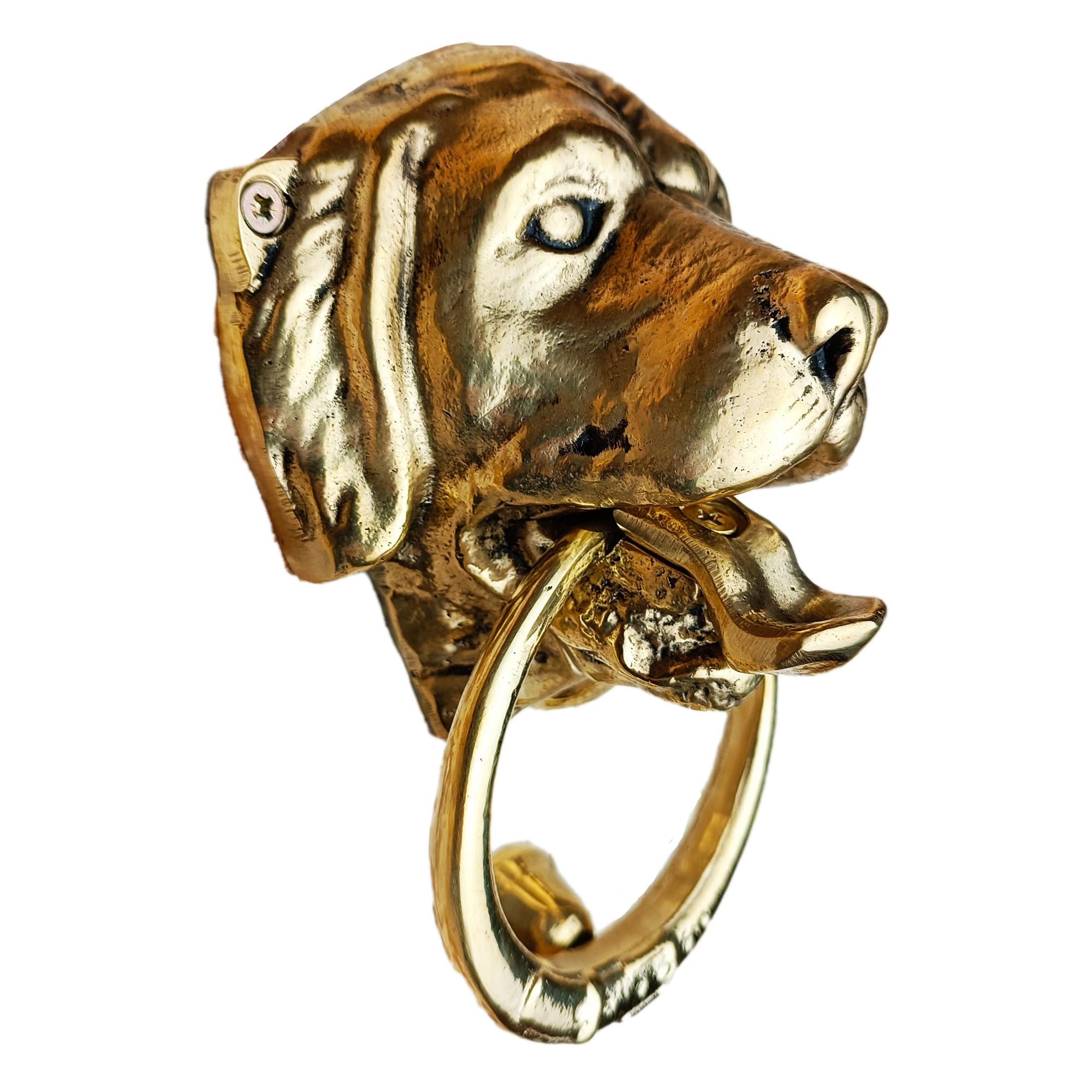 Anatolica Dog Door Knocker, Solid Brass, 6.7 inches, Labrador Retriever Head, Front Door Ornament, Unlacquered Finish (Antique Brass)