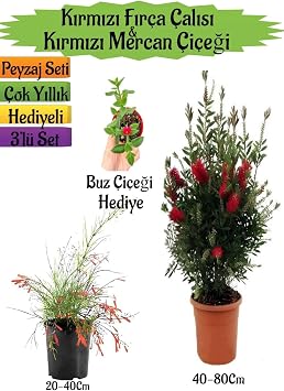 K rm z  F r a  al s , K rm z  Mercan  i e i, Buz  i e i Hediyeli Peyzaj Seti,  ok Renkli