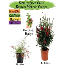 K rm z  F r a  al s , K rm z  Mercan  i e i, Buz  i e i Hediyeli Peyzaj Seti,  ok Renkli
