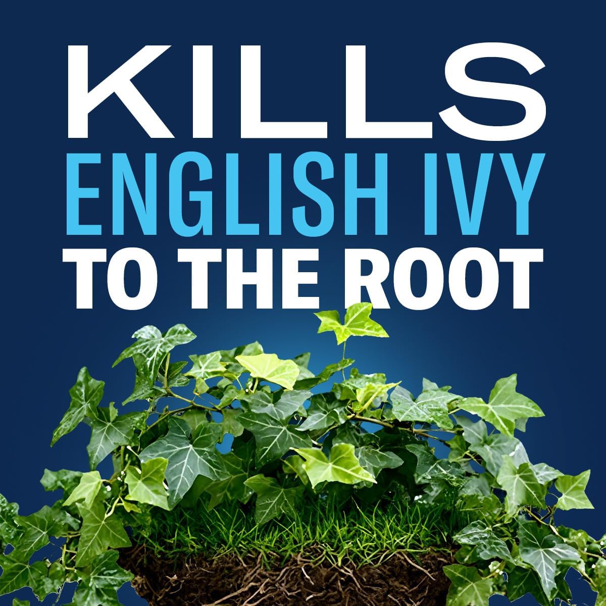 BioAdvanced Extended Control Brush Killer, Concentrate, 32 oz