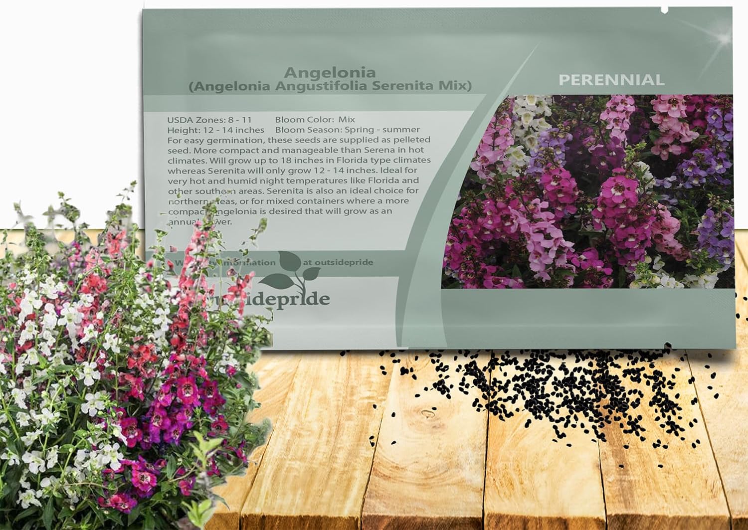 Outsidepride Serenita Mix Angelonia Snapdragon Seeds for Planting - 30 Pcs Perennial Flower Seeds, Pollinator-Friendly, Heat, Humidity & Drought-Tolerant, Compact Growth Habit for Containers
