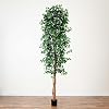Product Photo 8