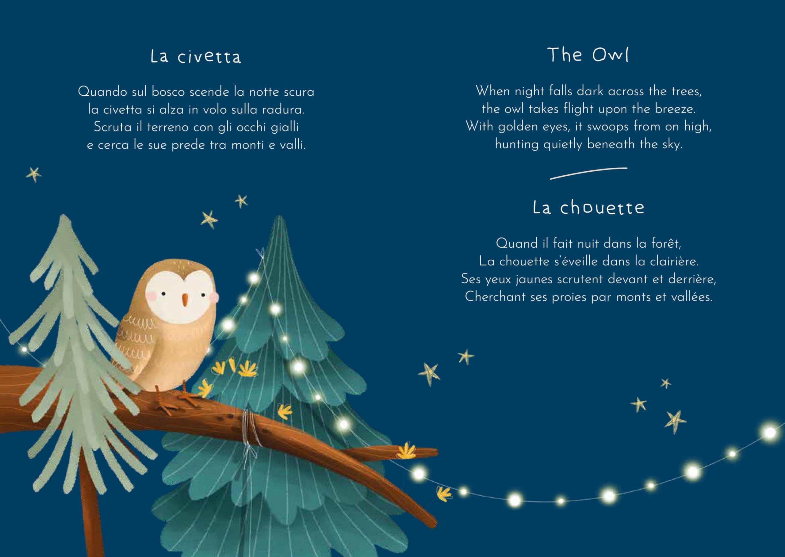 Bosco. Magnetic Box e book. Ediz. a colori. Con magneti: Magnetic Box Set