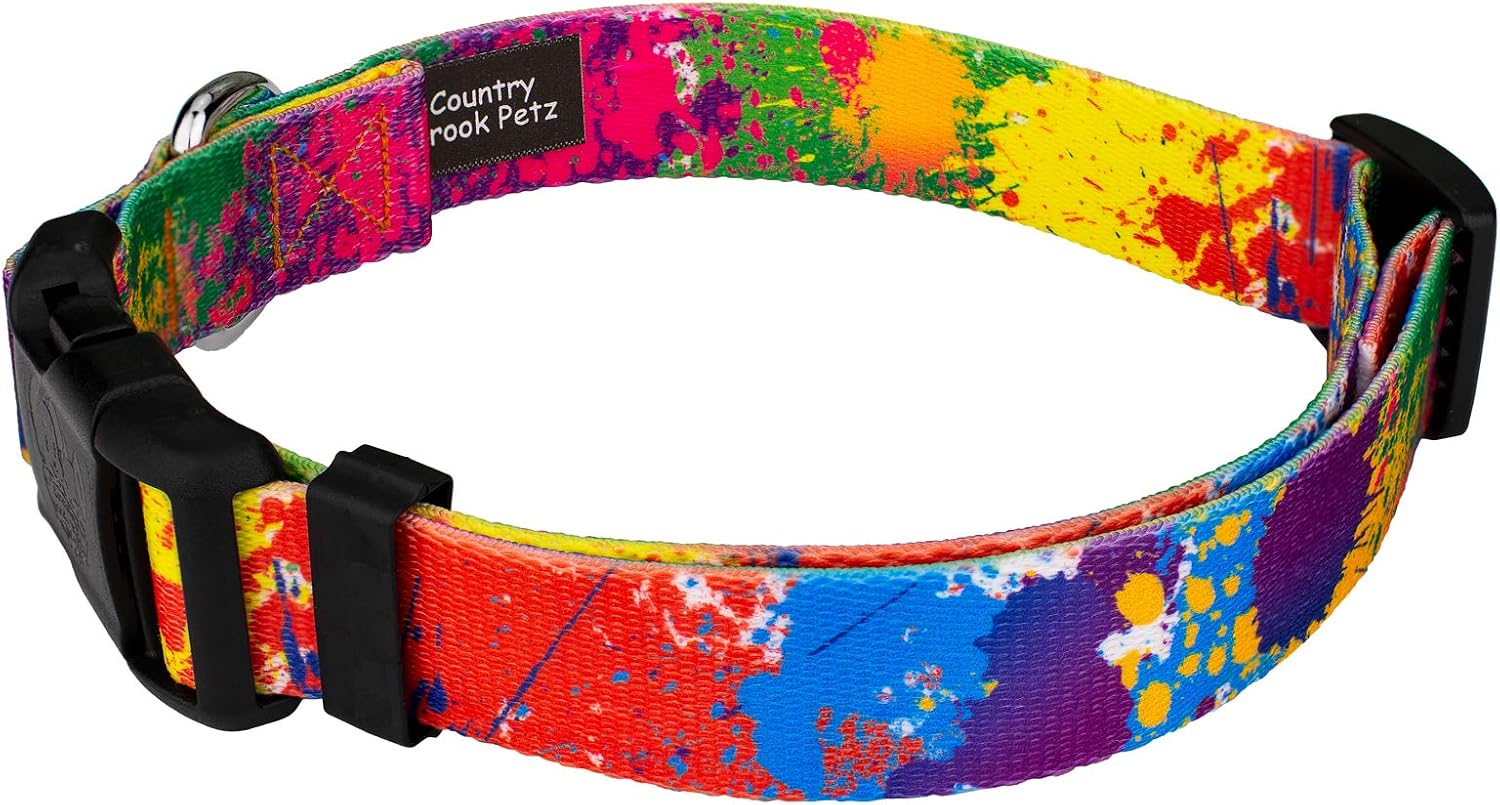 Country Brook Petz - Paint Splatter Everyday Dog Collar and Leash - Groovy Collection Featuring Far Out Designs (1 Inch, Large)