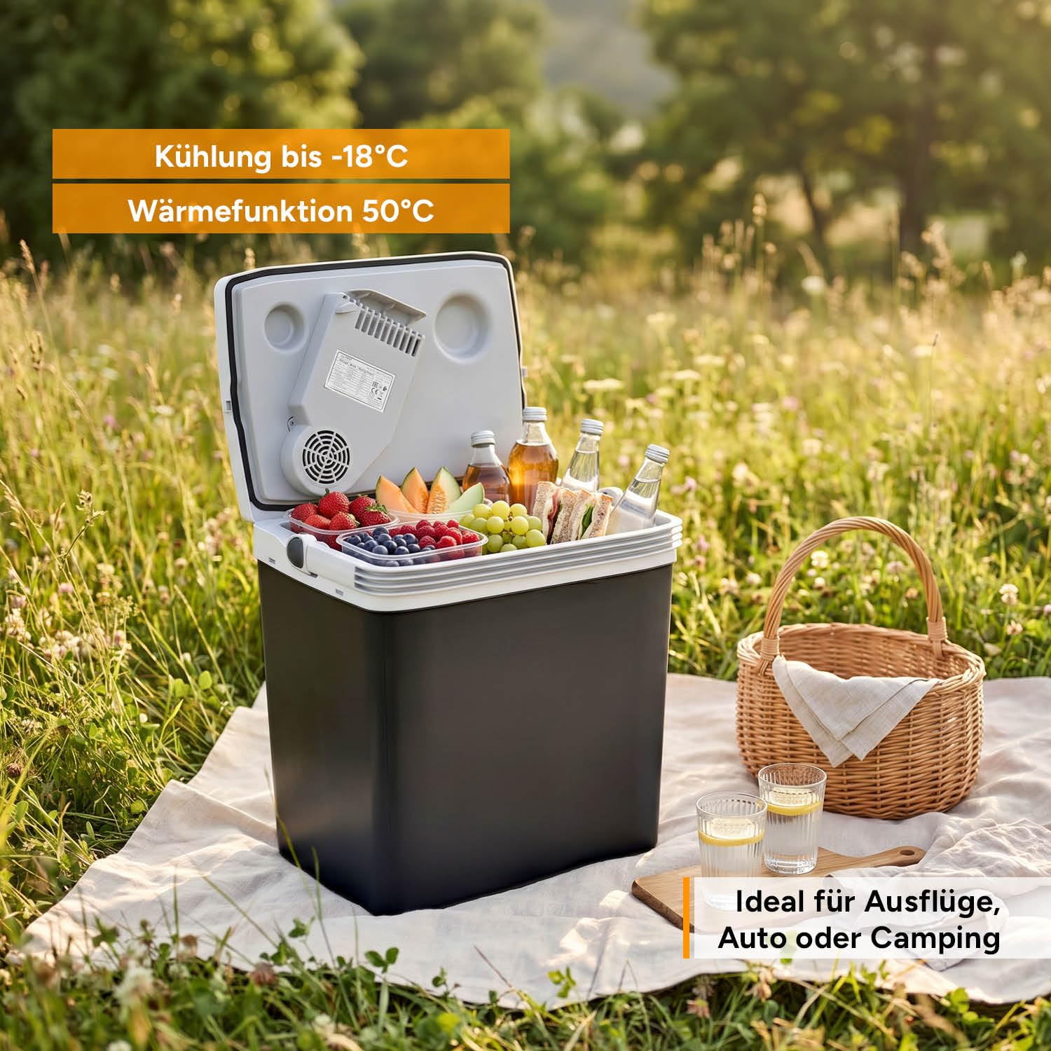 TZS First Austria Thermoelektrische Kühlbox 32L 230V/12V/USB-C PD 3.0 Mobile Minibar Schwarz/Grau