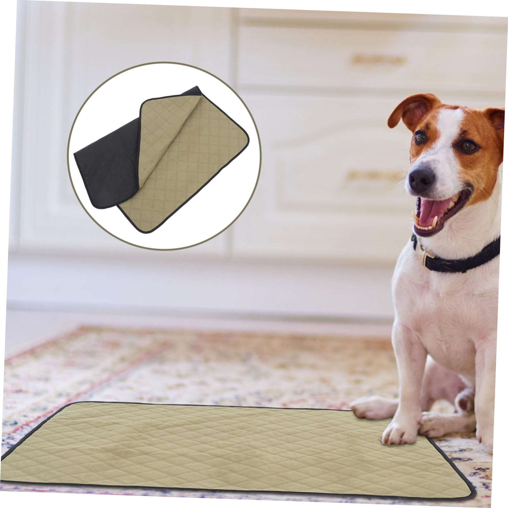 2pezzi Tappetini Assorbenti Per Lavabili Tappetini Riutilizzabili Per Addestramento Dei e Impermeabili Per Animali Domestici