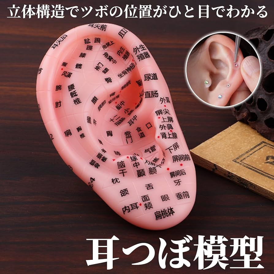 20個セット 未使用 FENGFAN 耳つぼ模型 耳ツボマッサージ 中国語表記