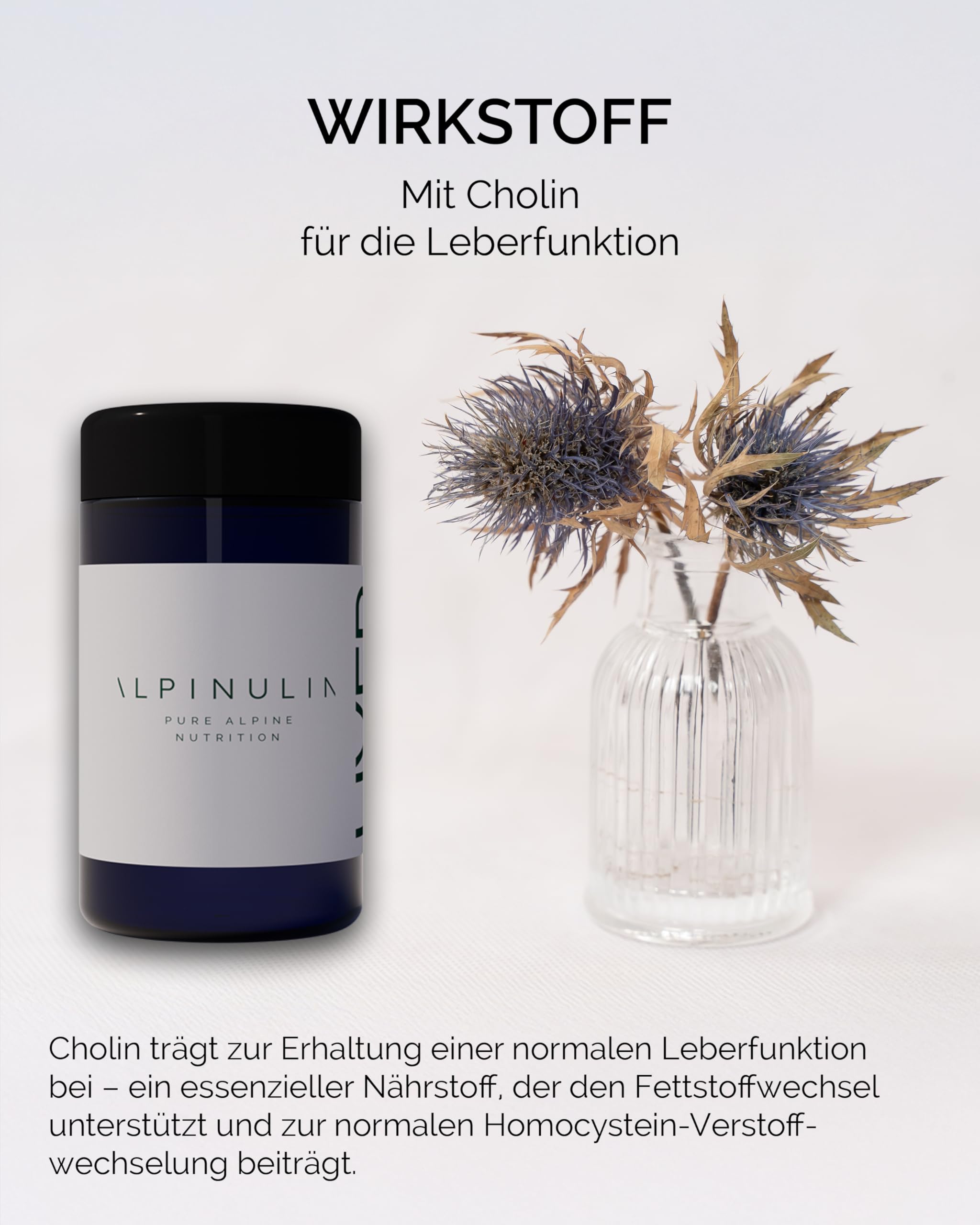 Alpinulin Liver Guard Leber-Komplex Kapseln 60 Stk. vegan - Mit Mariendistel, Artischocke, Löwenzahn, Kurkuma & Alpha-Liponsäure, Enthält Cholin - trägt zur Erhaltung einer normalen Leberfunktion bei