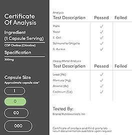 Double Wood Supplements CDP Choline (Citicoline) Supplement, Pharmaceutical Grade, Third Party Tested (60 Capsules 300mg)