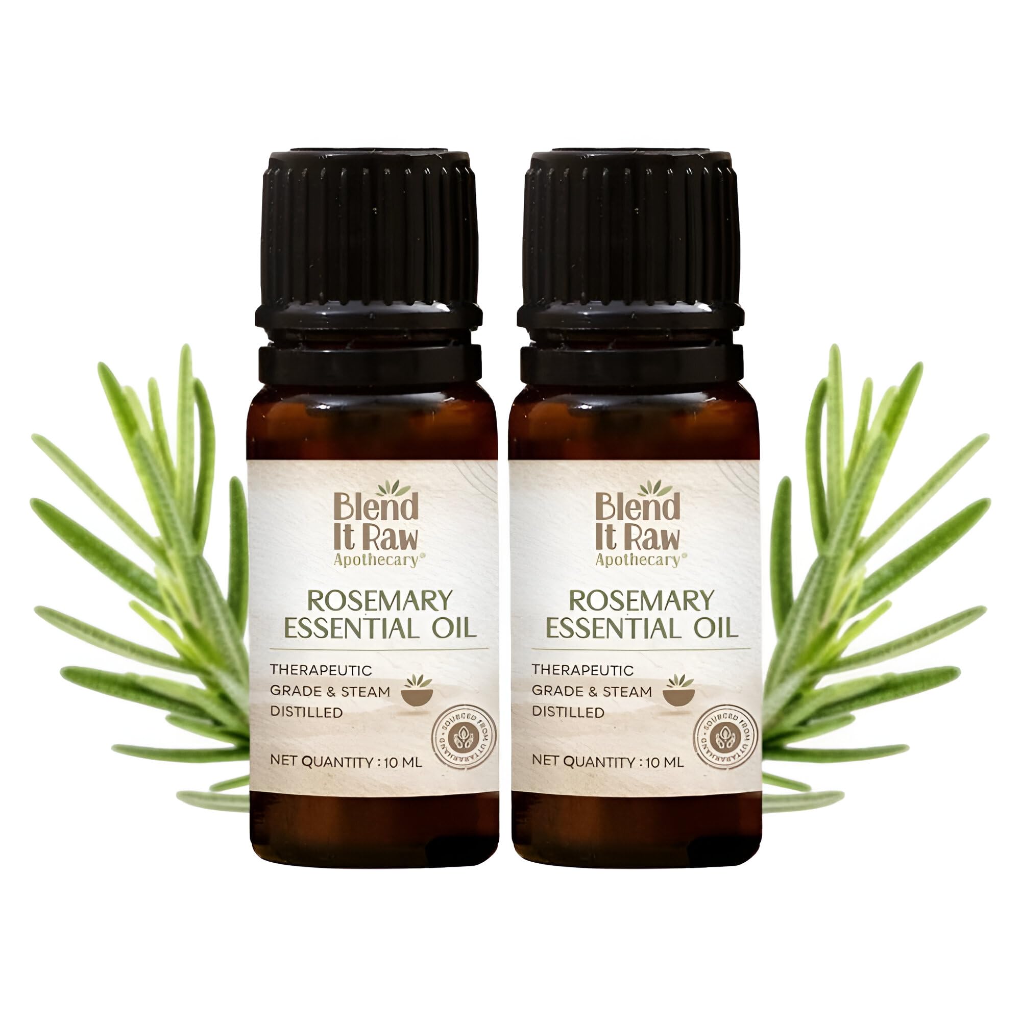 Blend It Raw Apothecary Pure Rosemary Essential Oil, 10ml (Pack of 2)