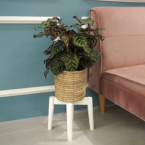 Miniatura 9 de Juego de 2 macetas de jacinto de agua para interiores para plantas, flores, suculentas, macetas de canasta, cubierta decorativa para macetas