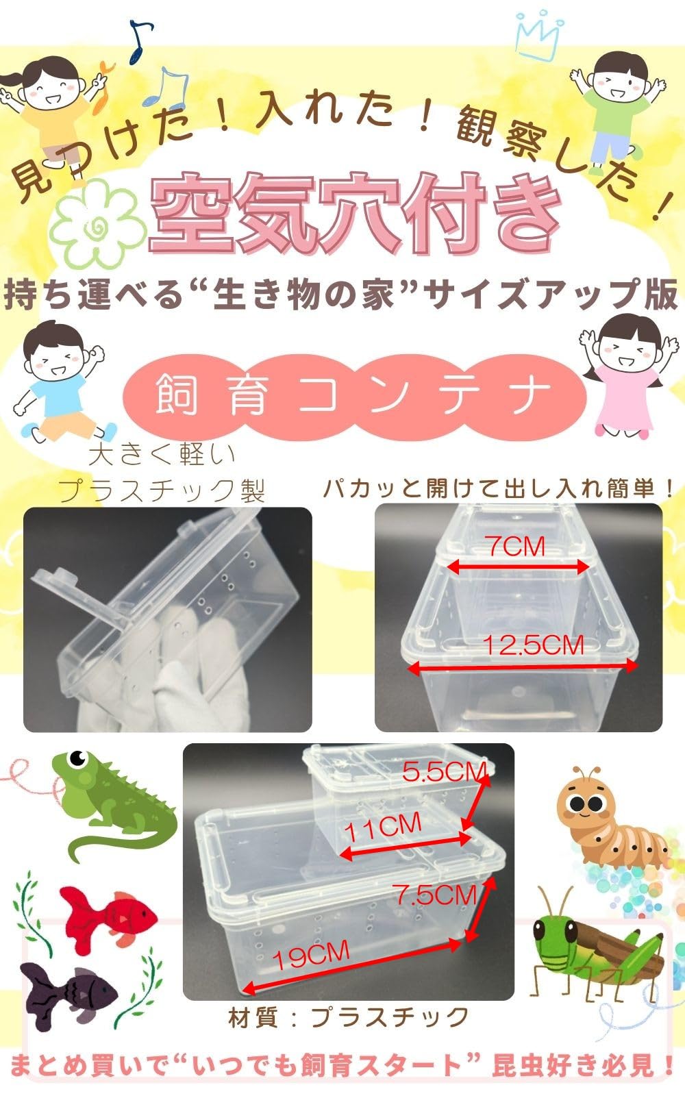 Amazon.co.jp: UTST 昆虫飼育ケース 小型 コンテナ ボックス 空気穴