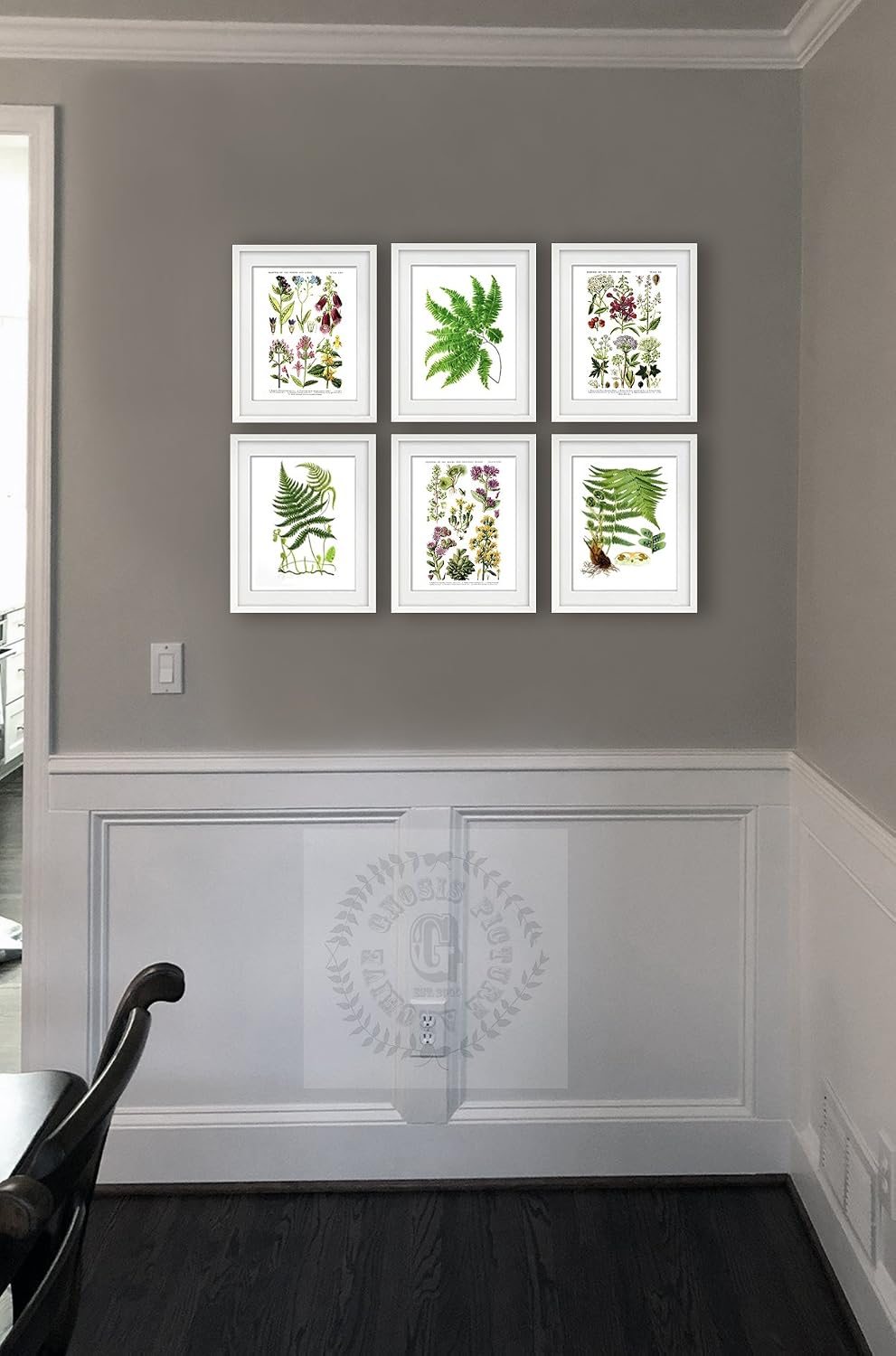 Botanical Wall Decor Set of 6 Unframed Ferns English Wild Flowers Art Prints