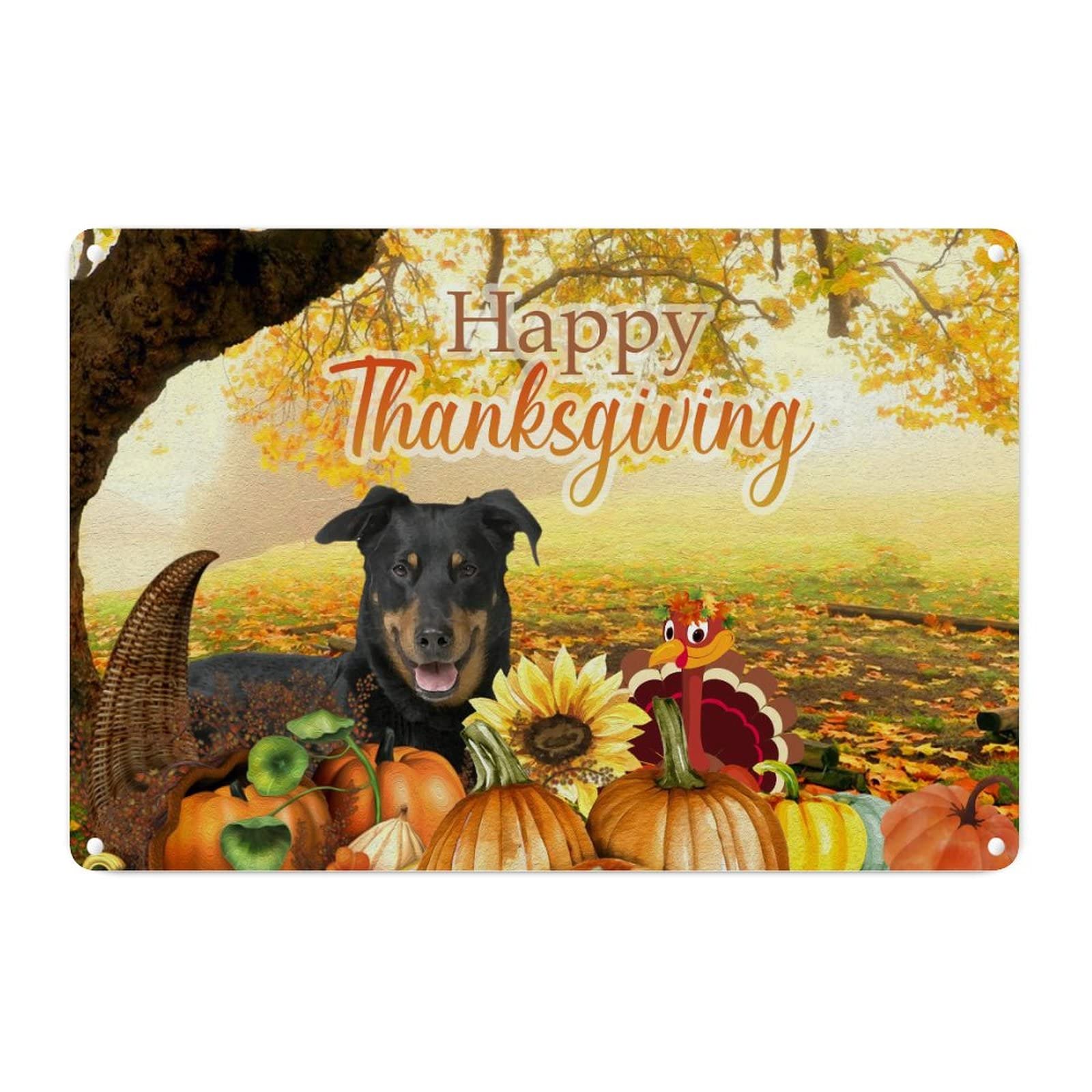 Plaque en métal Thanksgiving au design raffiné de tournesol