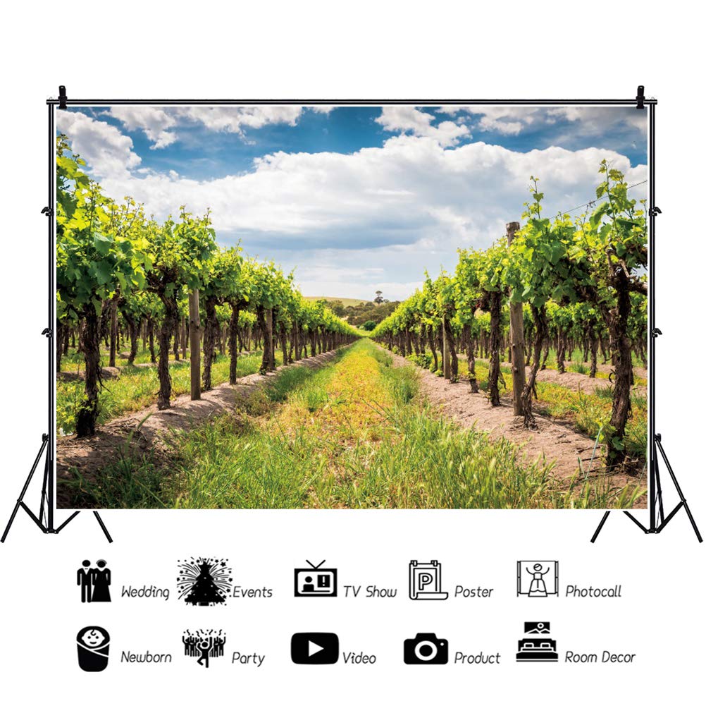 Fotohintergrund Weinberge & Französische Landschaft – 3 X 2,4 M Vinyl, Hochauflösend Für Hochzeit, Fotostudio, Feiern