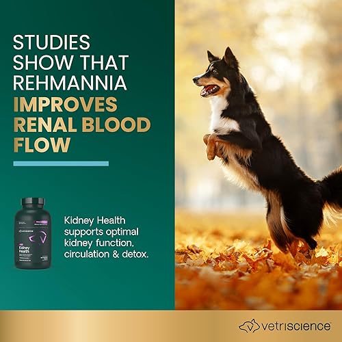 Vista 36 de Tableta para perros VetriScience Laboratories, fuerza de vejiga, 90 tabletas masticables