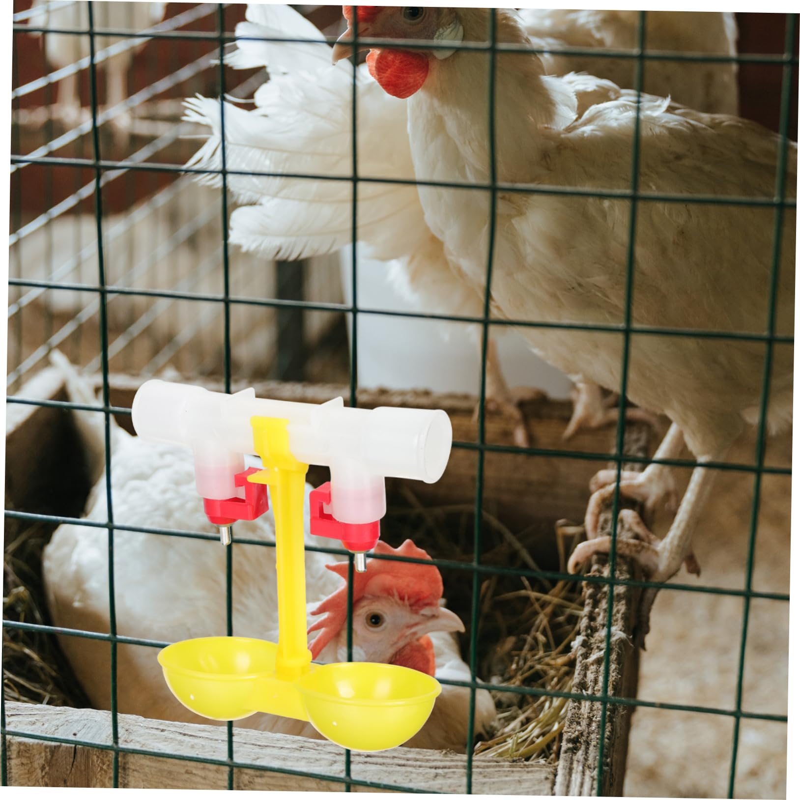 Abbeveratoio per Galline Automatico 10 Pezzi in Acciaio Inox | 360° Nipples, Erogazione Automatica Dell'acqua, per Pappagalli e Altri Uccelli
