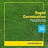 Barenbrug Turf Star Regenerating Perennial Ryegrass Lawn Seed with Yellow Jacket Seed Coating, Fast-Acting Durable Grass Seed Mix for Lawns, 10-lb. Bag