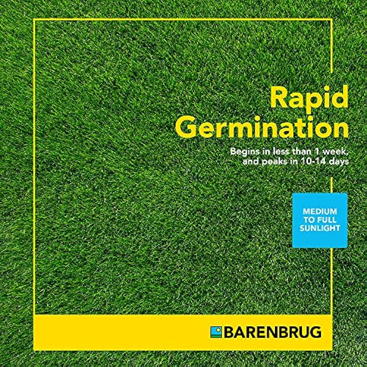 Barenbrug Turf Star Regenerating Perennial Ryegrass Lawn Seed with Yellow Jacket Seed Coating, Fast-Acting Durable Grass Seed Mix for Lawns, 10-lb. Bag