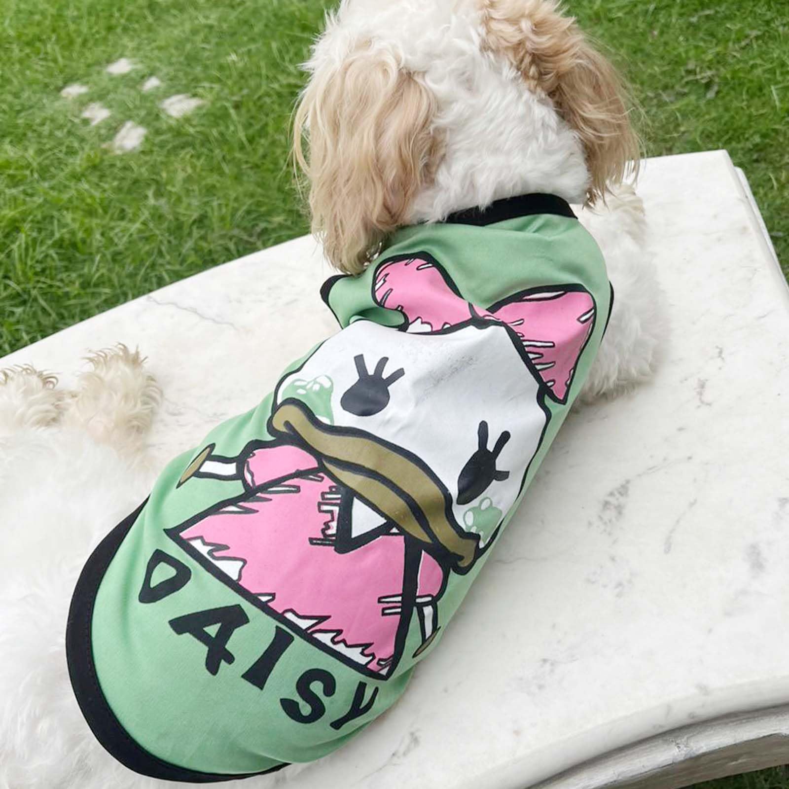 Lulala Dog Shirt with Daisy Print, Pet Summer T-Shirts Sweatshirt Fashion Outfit Vests Breathable Dog Clothes Outfit, Clothes Pet Apparel for Dogs, Cats (Green, 20 INCH) (B0C94KDGZ5) Amazon Price History, Amazon Price Tracker