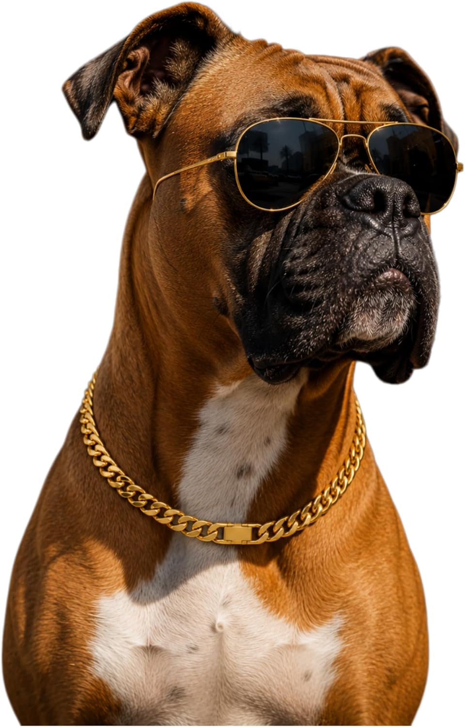 Gold Metal Dog Chain Collar,Pet Chian Necklace,22 in