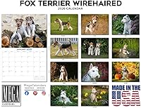 Vista 652 de Razas de Perros 2017