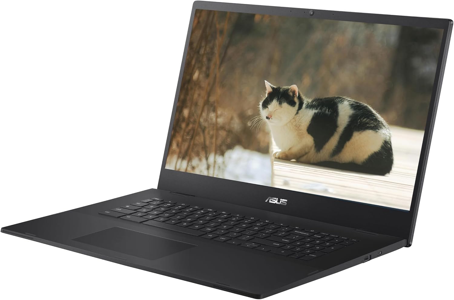 ASUS 2025 17" FHD IPS Chromebook, Intel Celeron Processor Up to 2.80GHz, 4GB Ram, 128GB SSD, Super-Fast WiFi, Full Size Keyboard, Chrome OS, Star Black, Renewed