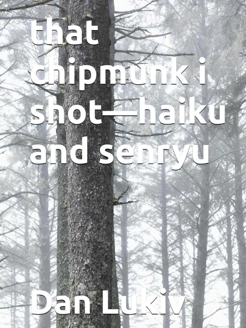 that chipmunk i shot—haiku and senryu