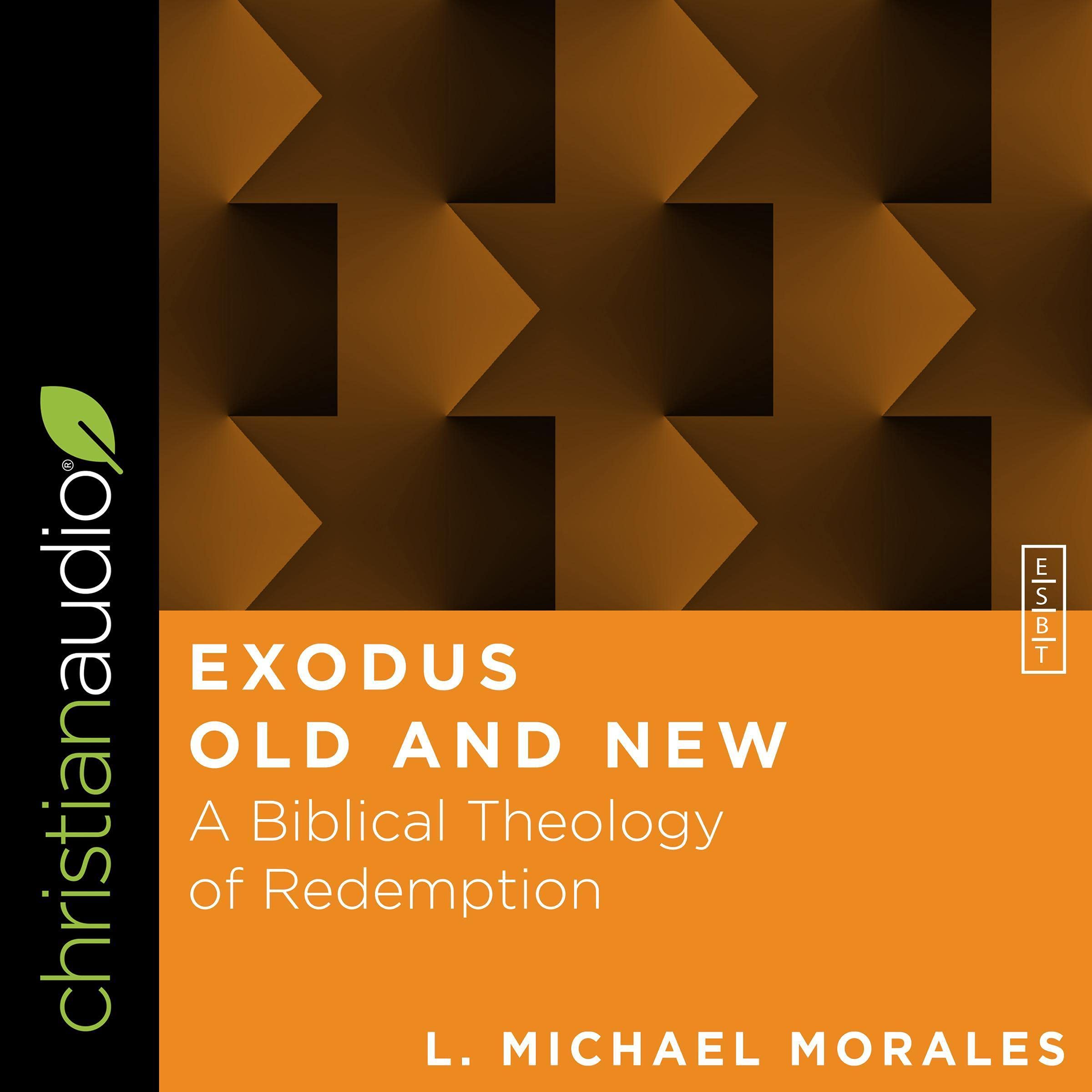 Cover art for Exodus Old and New