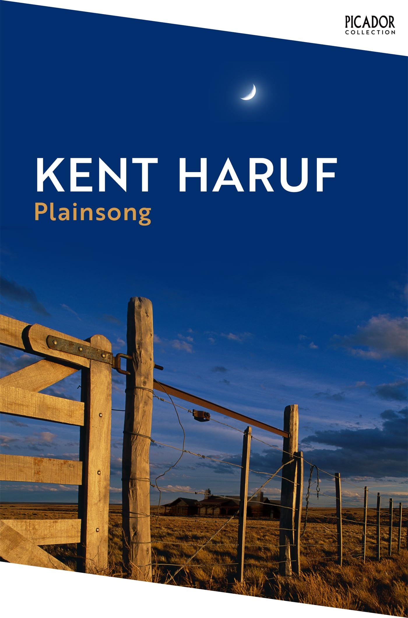Plainsong: A hauntingly beautiful tale of intertwined lives in small-town America (Picador Collection) (English Edition)