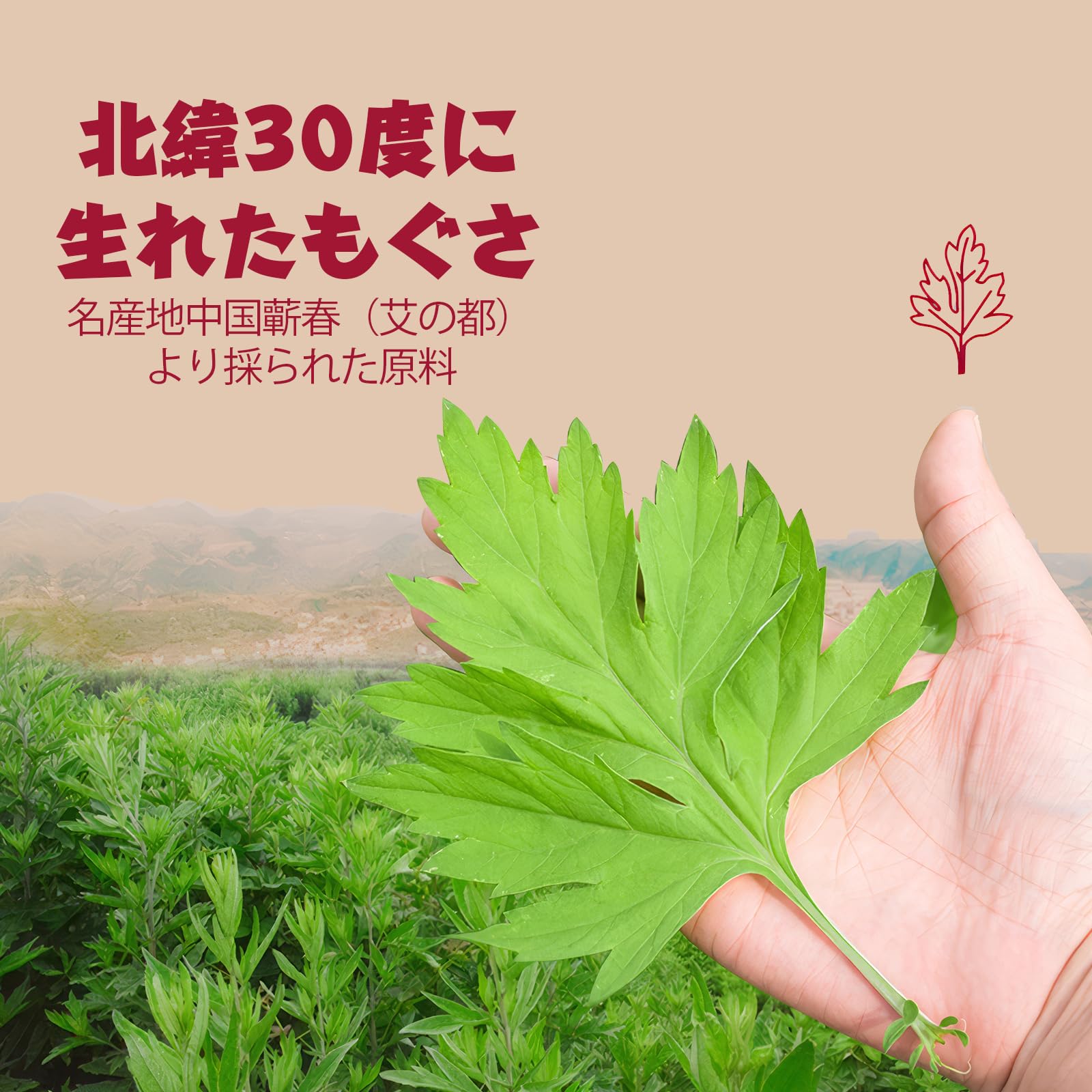 Amazon.co.jp: 御道 棒灸 もぐさ お灸 温灸 雷火灸 太棒 大型 ヨモギ 