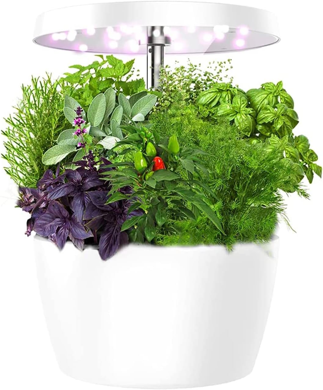 Hydroponics Growing System, Indoor Herb Garden Simple to Use, Smart Planter with Timed Auto On/Off, Easy for Home Kitchen Office Planting, 4 Pods, White
