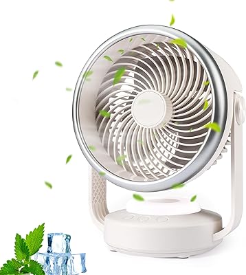 HONEYYEAR Desk Air Circulation Fan 10 inch, 110°oscillation Fan, 6000mAh Portable Table Fan, 2 level bright LED light, 90°vertical tilt, Personal Quiet Cooling Fan for Home Office Bedroom Outdoor