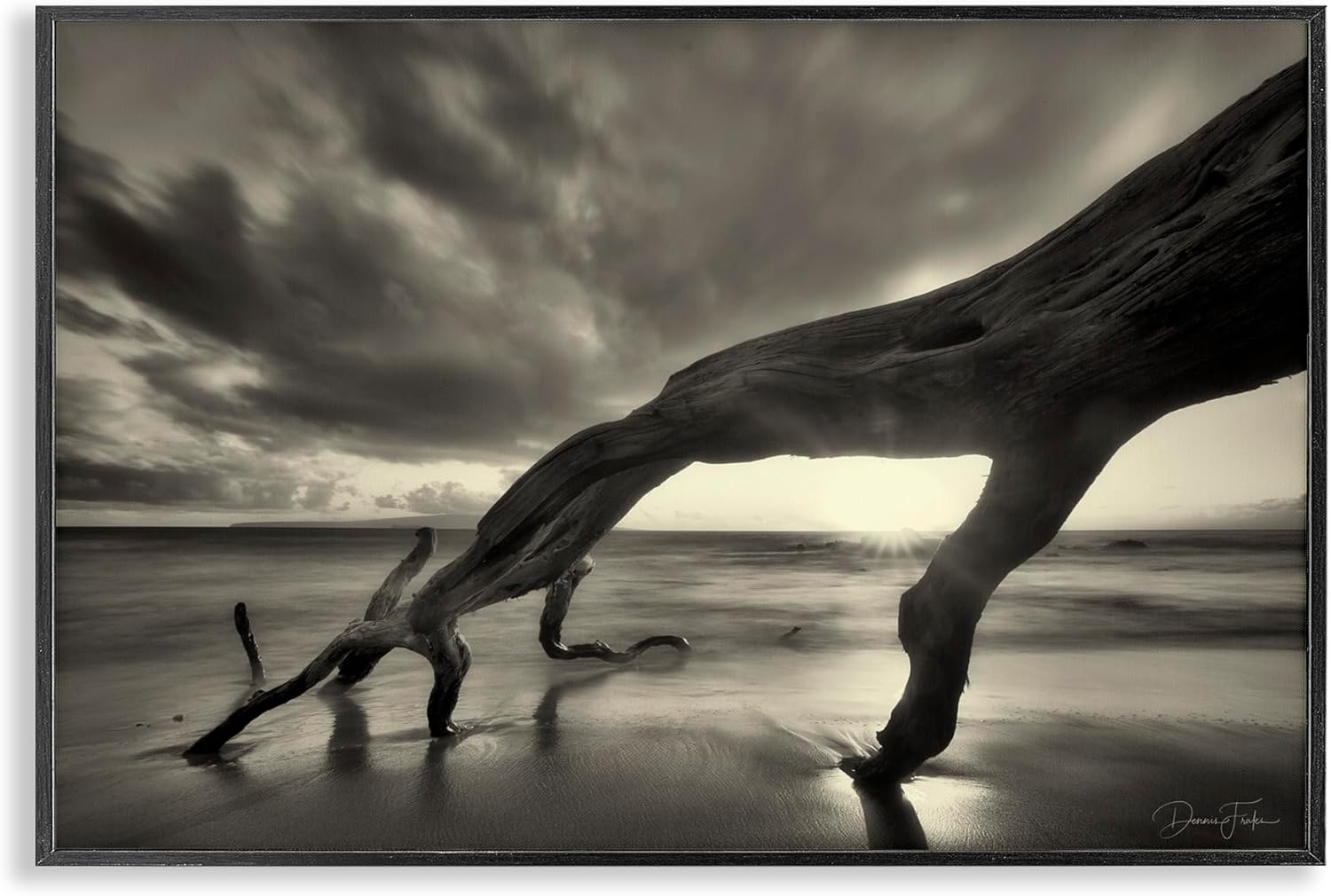 Stupell Industries Tree Trunk on Shore Framed Giclee Art Design by Dennis Frates