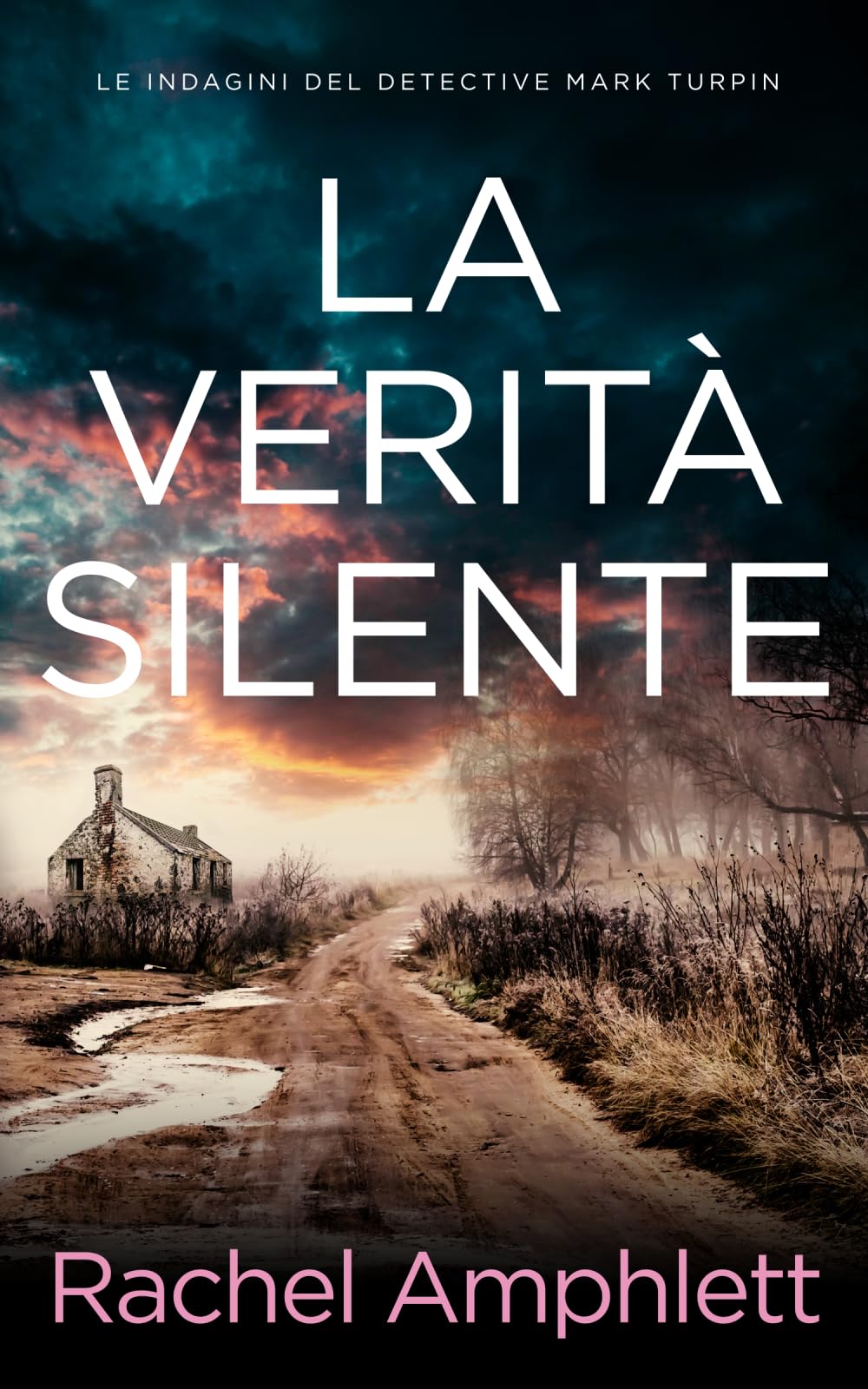 La verità silente: 4 (Le indagini del detective Mark Turpin)