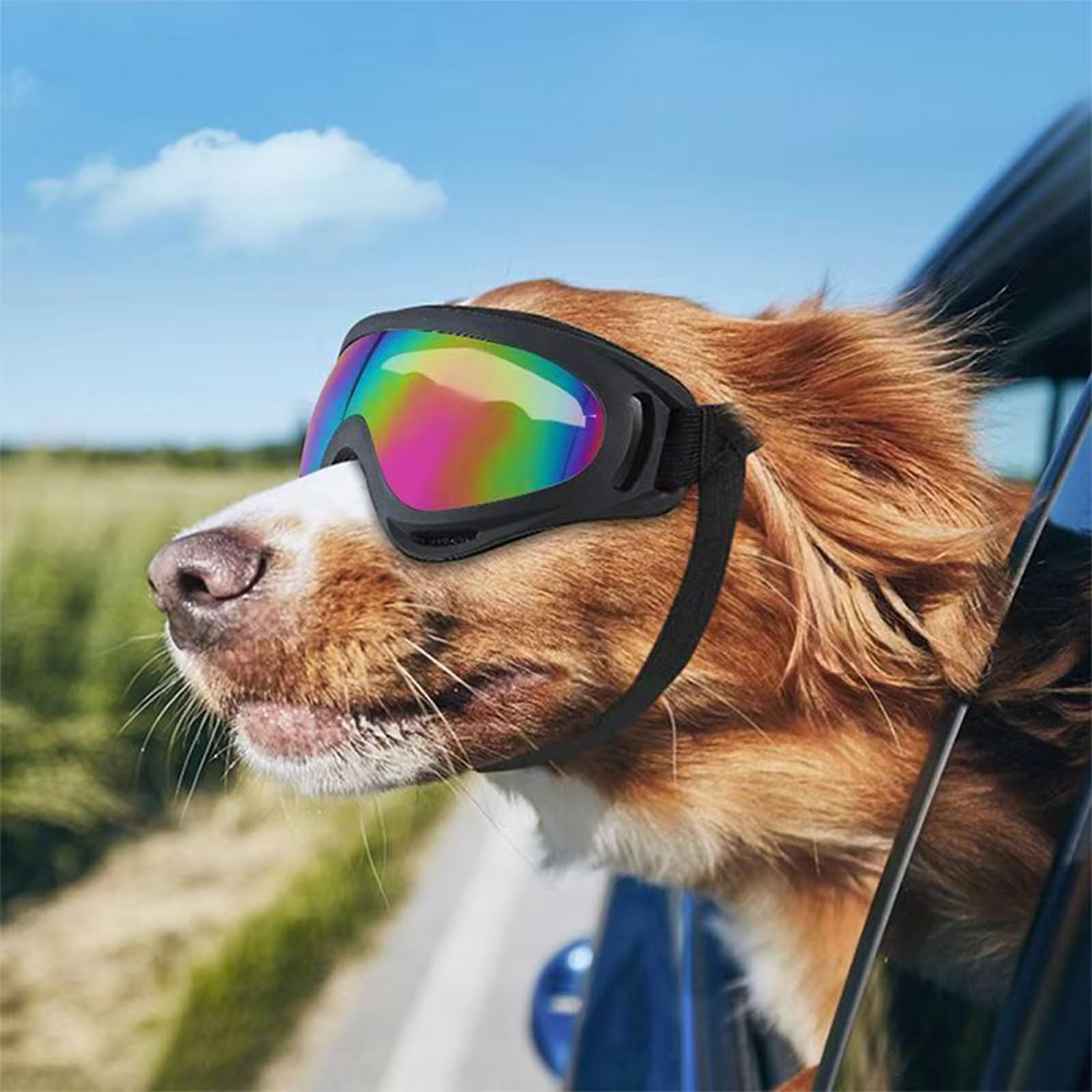 2Stück Hundebrille, Brille Hund UV-Schutz, Winddicht Hunde Brille, Sonnenbrille Hund mit Verstellbare Riemen, Hundesonnenbrille für Mittel Große Hunde, zum Autofahren,Outdoor-Aktivitäten,Farbe