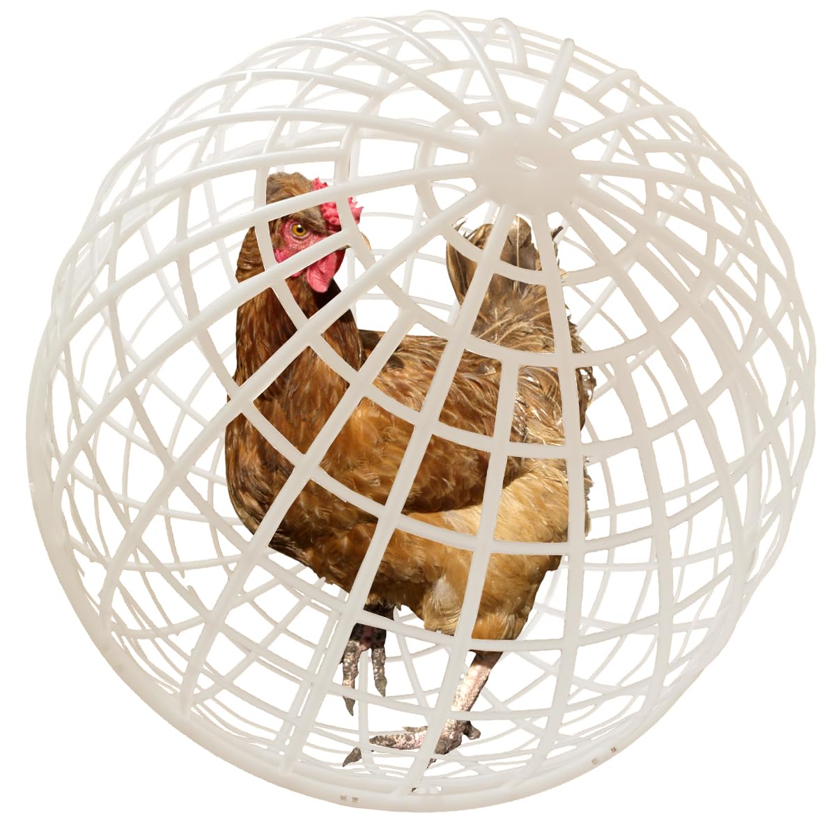 Cage roulante en plastique et filet de marche sécurisé poussins 49,8cm