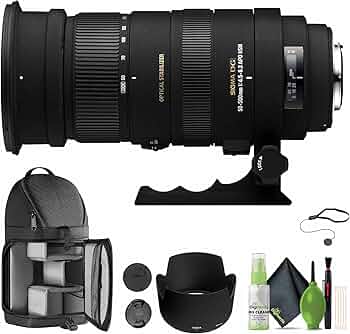 Amazon.com : Sigma 50-500mm f/4.5-6.3 APO DG OS HSM Lens for Sony