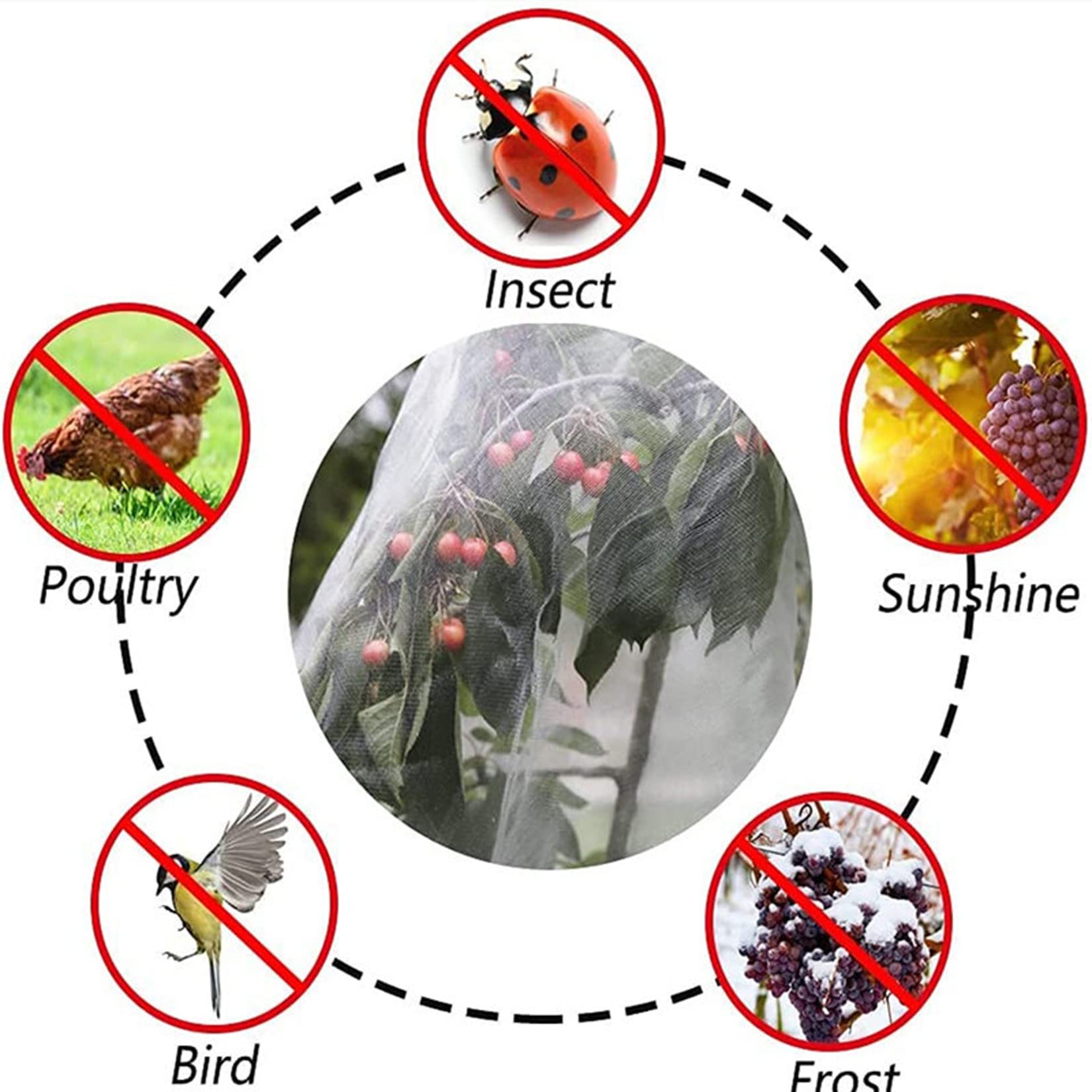 WLWLEO Malla de Red de Barrera contra Insectos para Plantas de jardín, Paquete de 4 Bolsas Protectoras para Tomates con cordón, contra plagas Bird Net para Proteger Frutas Verduras Flor,180x210CM