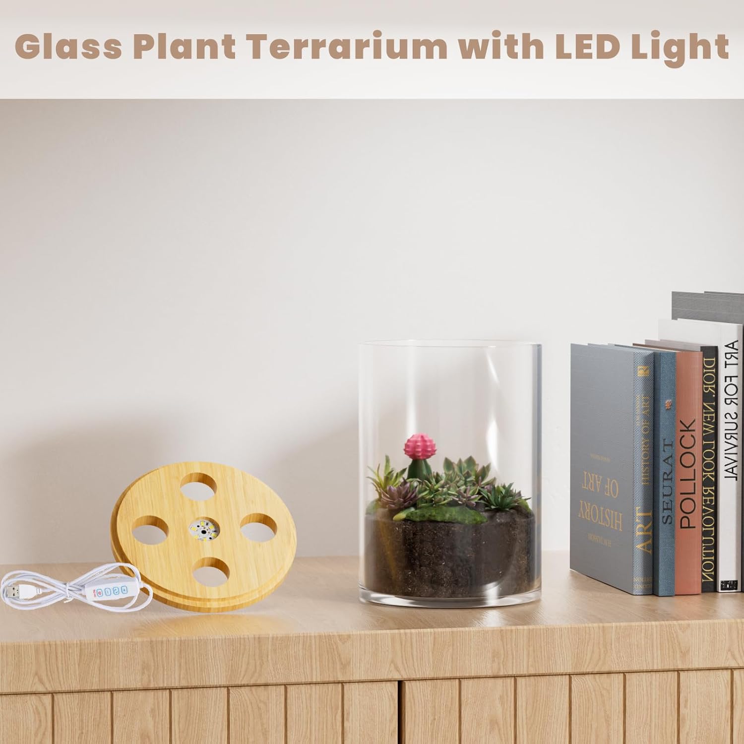 5.9" x 7.9" Desktop Plant Terrarium with Grow Light for Succulent, Moss, Miniature Gardening Landscape, Houseplant Growth, Hydroponics, Office Home Décor, Plant Lover Gifts