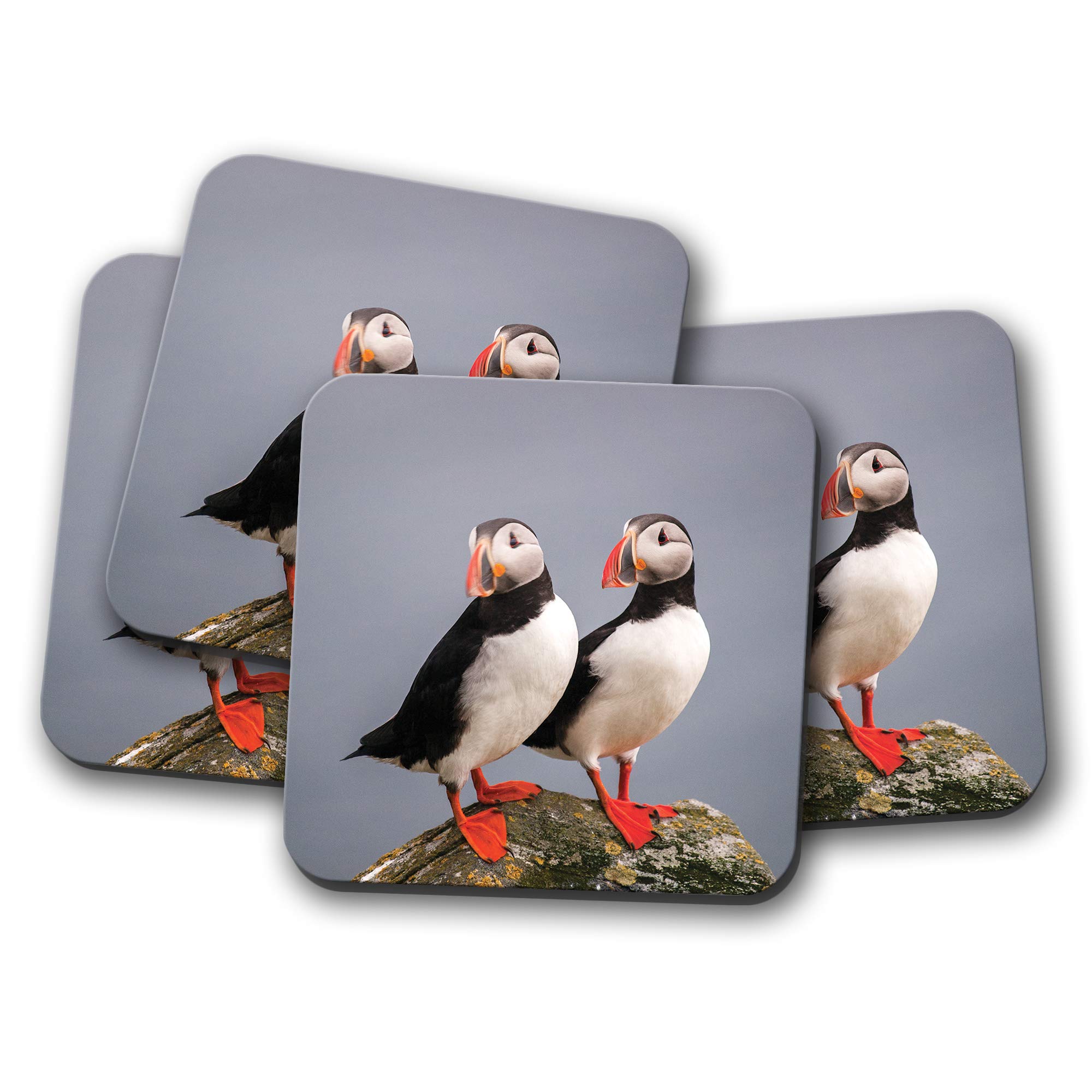4 Set - Cute Puffin Couple Coaster - Pelagic Sea Birds Mum Auntie #14150