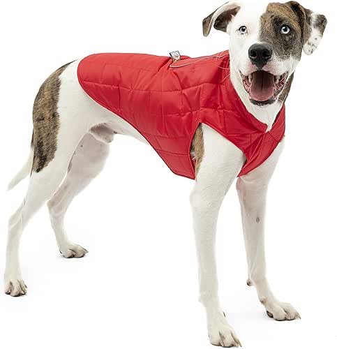 Kurgo Loft Dog Jacket, Reversible Dog Coat, Wear with Harness