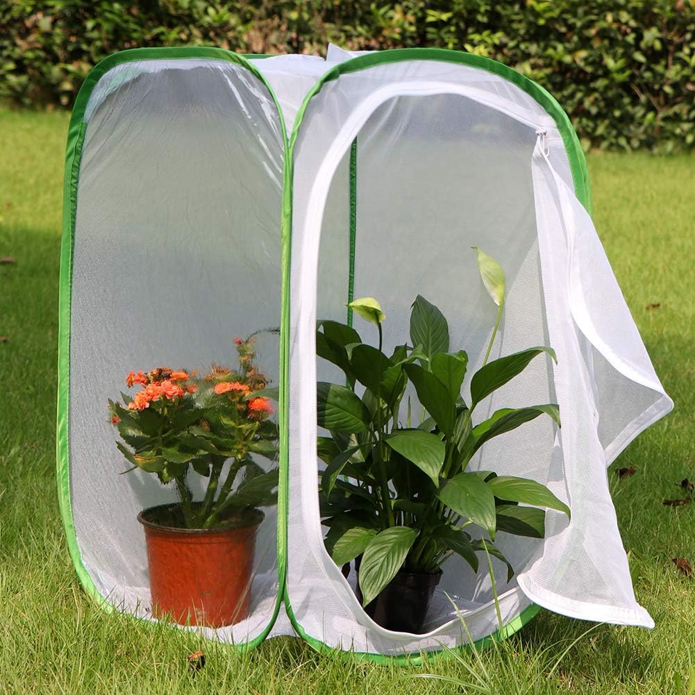 Lot de 2 cages à insectes et papillons pour terrarium 40 x 40 x 60 cm