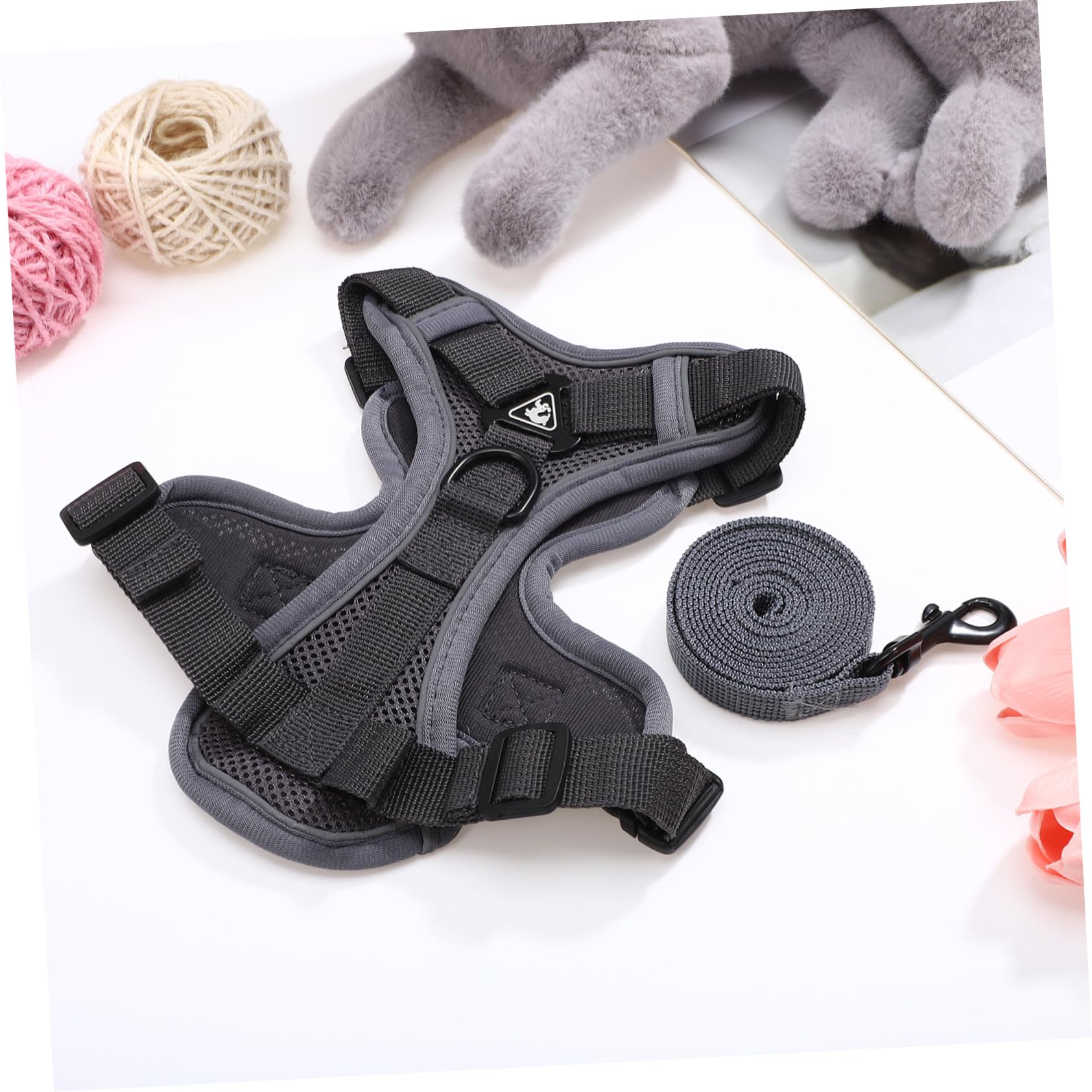 Sosoport 5 Pièces Type De Gilet Laisse De Marche pour Chat Accessoire pour Animaux De Compagnie Chiot Harnais De Marche en Plein Air Harnais De Chien De e pour Chat Laisse