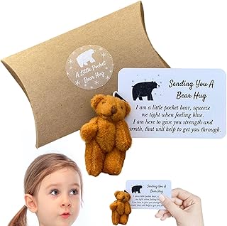 Bear Hug Greeting Card,Tiny Handmade Teddy Bear Pocket Bear Hug | Give Bear Hugs to Whoever Needs One, Wedding Birthday Party Supplies Baok
