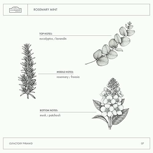 Miniatura 5 de A LA MAISON Jabón líquido francés para manos, menta de romero, lavado de manos natural hecho con aceites esenciales, biodegradable, a base de