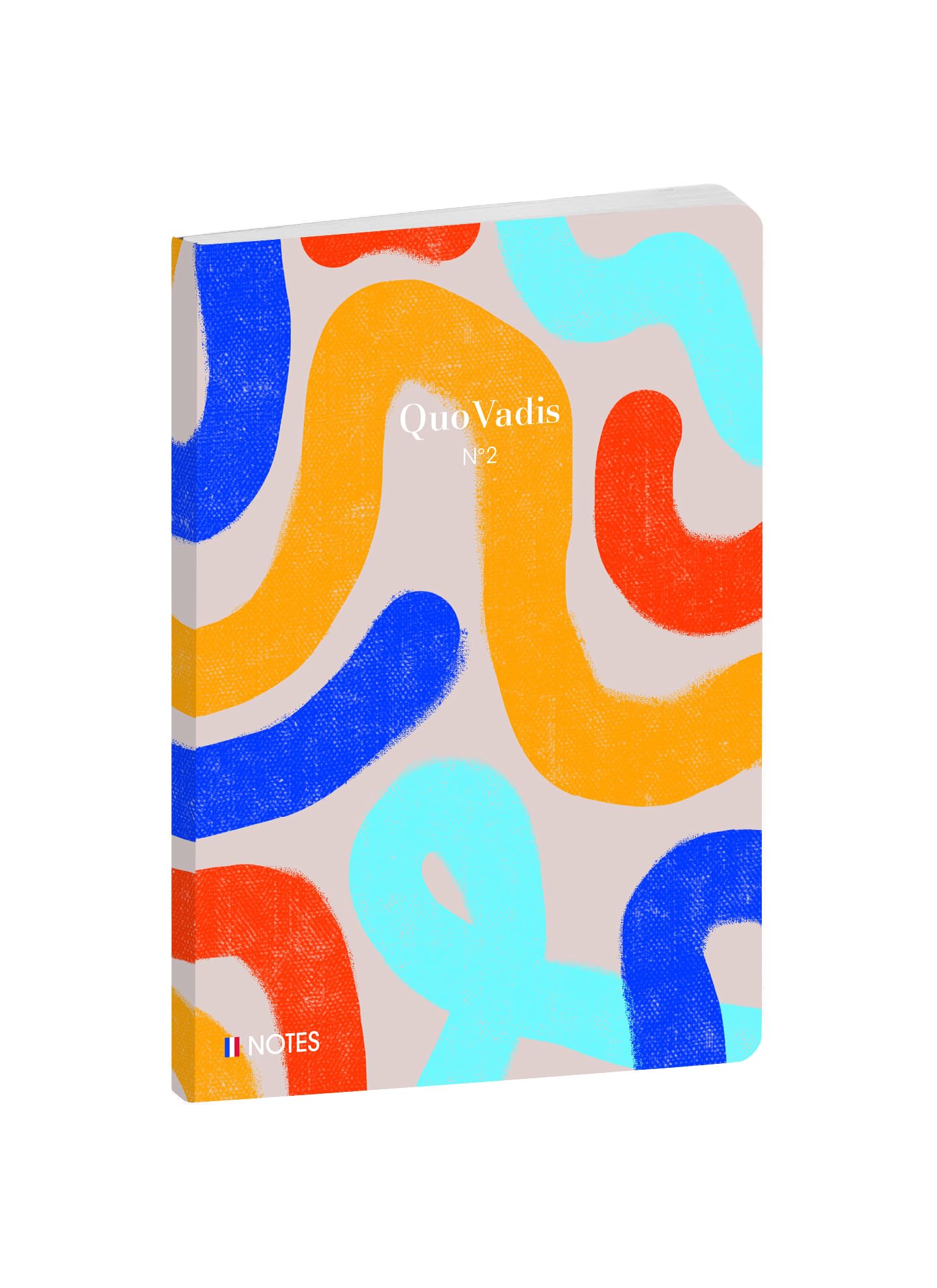 Quo Vadis Carnet de notes Iconique Serpentin 15x21 cm